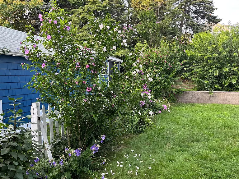 Mature Landscaping