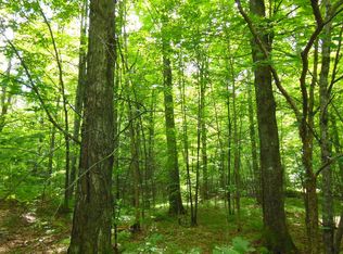 State Highway 52 LOT WP01, Bryant, WI 54418