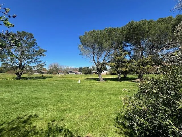 2 bed, 2.5 bath, 1320 sqft, $3,100 — Photo 2