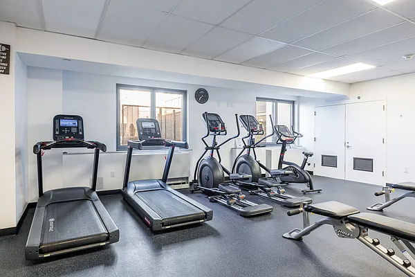 Rented by MNS | media 15