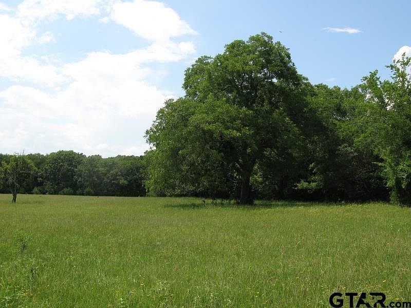 1st image of County Road 1111