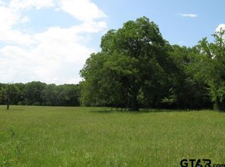 County Road 1111, Grand Saline, TX 75140