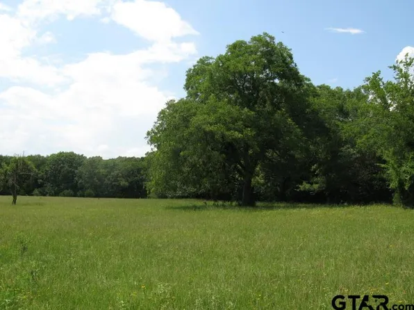 County Road 1111, Grand Saline, TX 75140