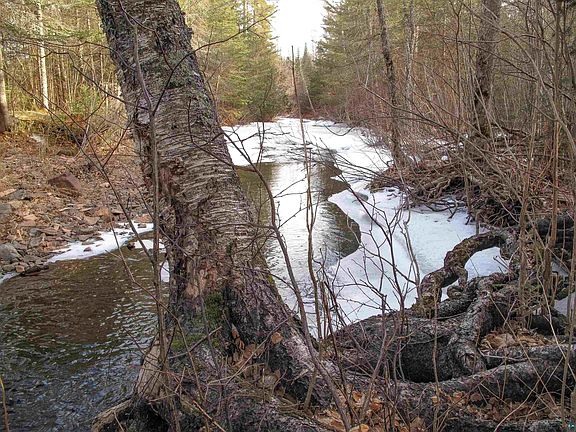 5th image of 1487 Gunflint Tr