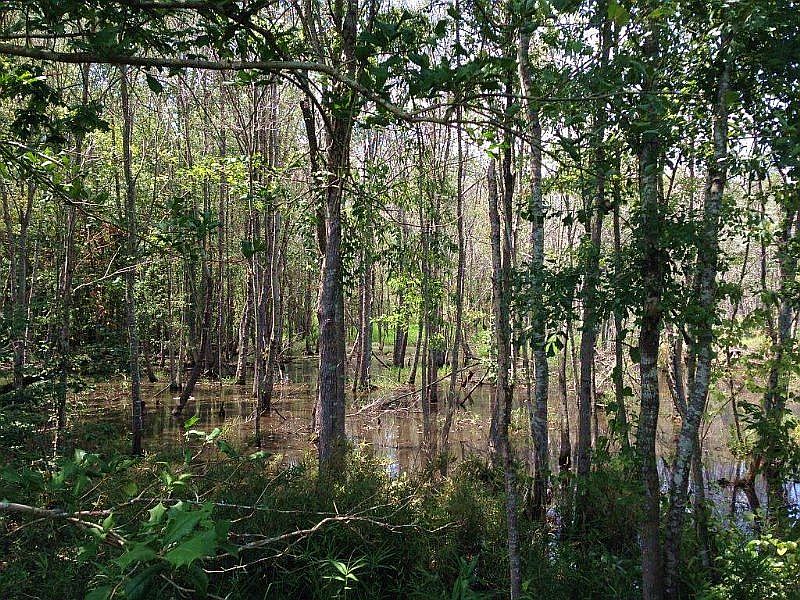 1st image of 6513 Highway 278