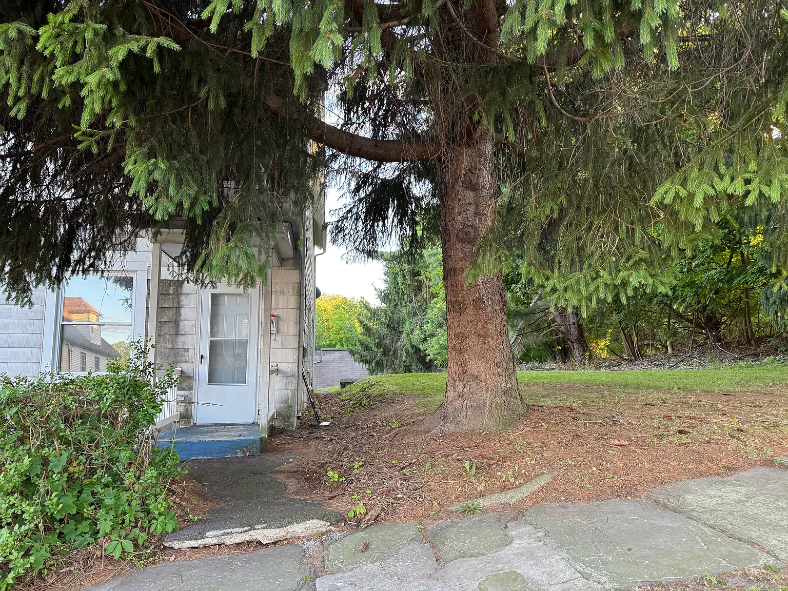 3 bed, 900 sqft, $1,450 — Photo 2