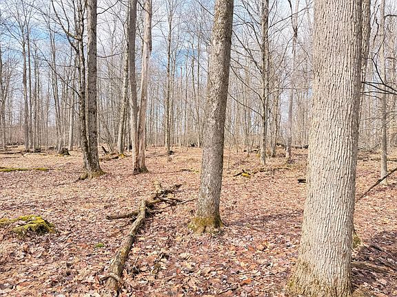 5th image of Morrison Hill Rd