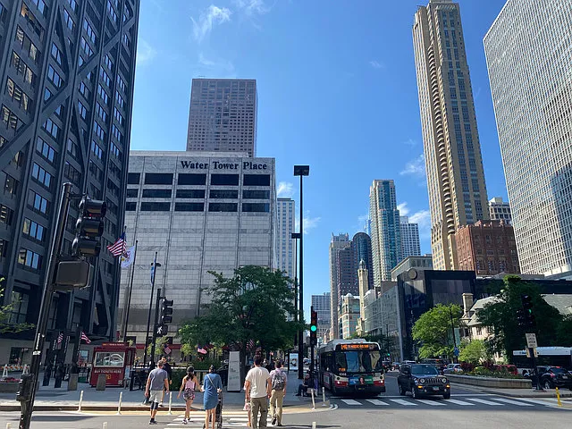 200 E Delaware Pl #4DE — Photo 47