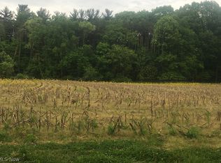 Riffel Rd, Wooster, OH 44691