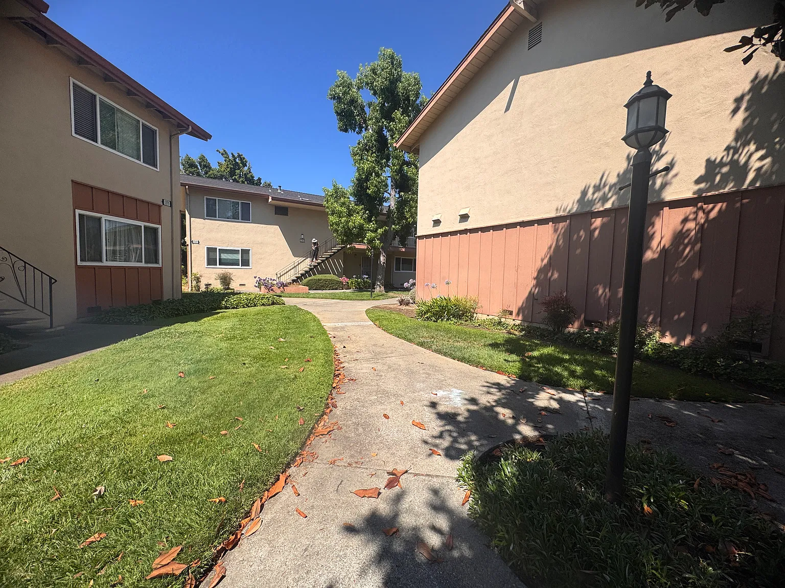 3 bed, 1200 sqft, $3,850 — Photo 4
