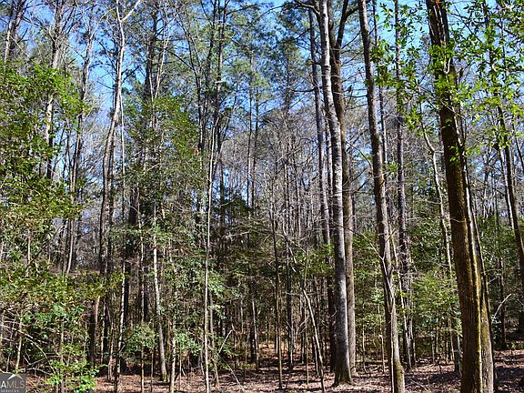 5th image of 0 Mark Wood Rd