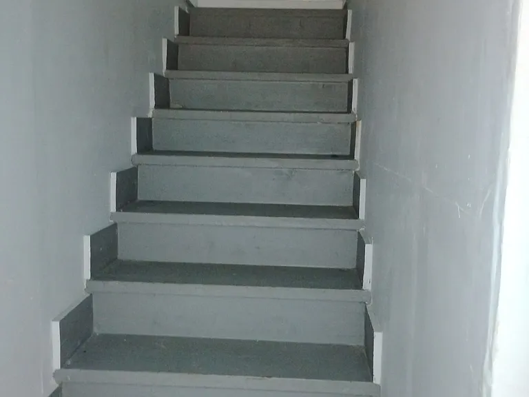 1217 N 32nd Ave #3 — Photo 2