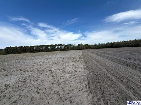 Mta 9 Heustess Rd, Little Rock, SC 29567