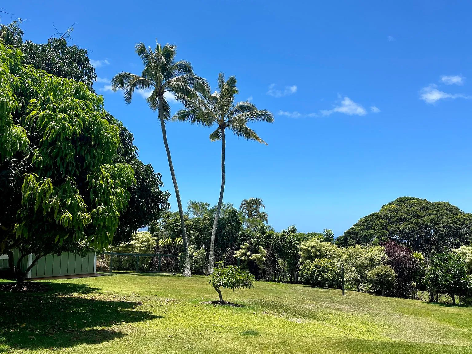 Alapio Rd, Haleiwa — Photo 2