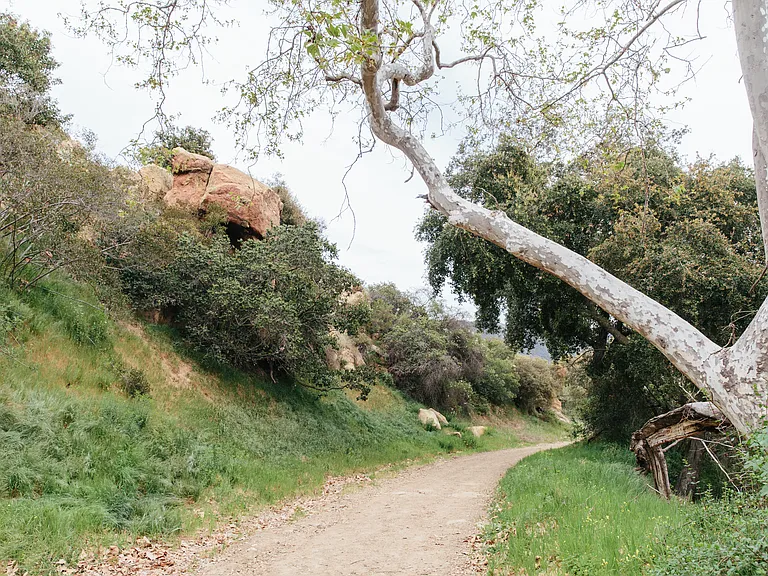 Medley Ln — Photo 12