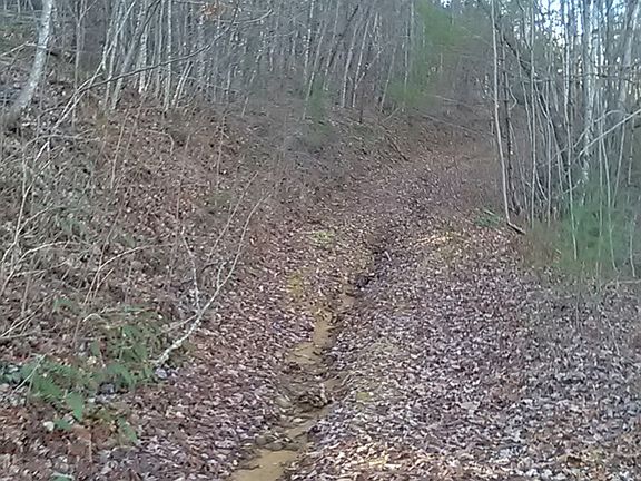 5th image of 2000 Flea Mountain Rd