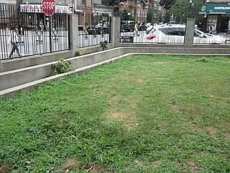 Rented by Aguayo & Huebener Brooklyn