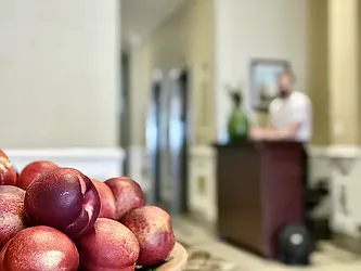 Rented by Vector New York, LLC