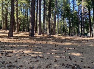 615 E Mountain Ridge Rd, Westwood, CA 96137