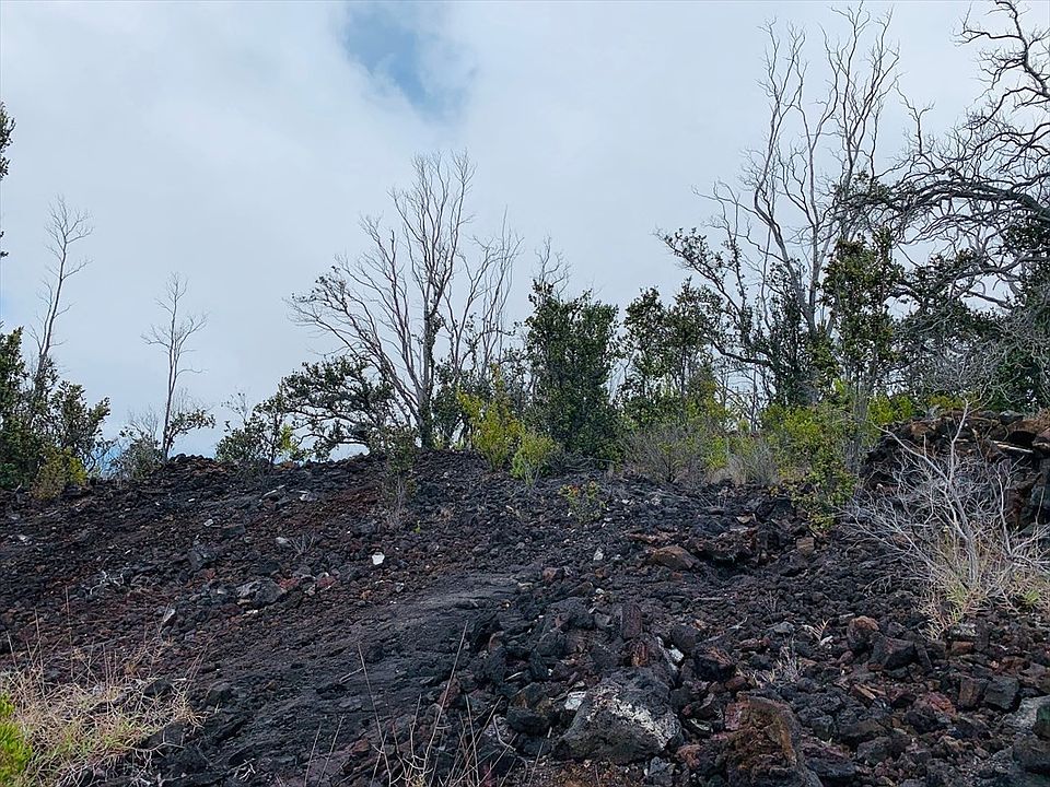2nd image of Lot 18