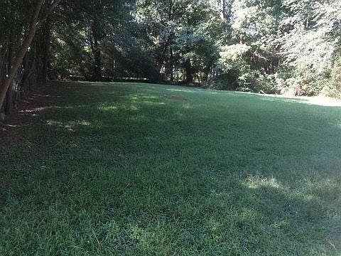 Big fenced backyard
