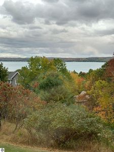11855 Ridge View Dr, Rapid City, MI, 49676