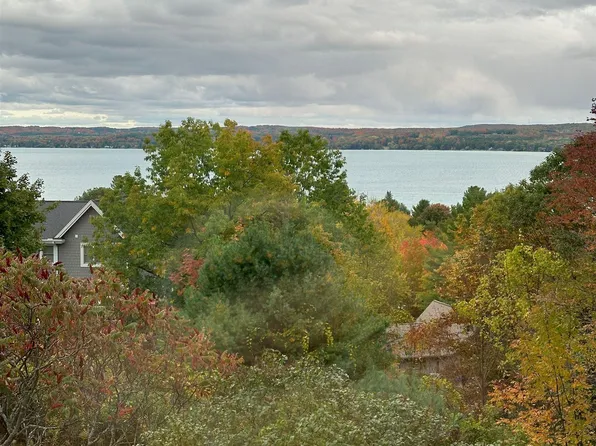 11855 Ridge View Dr, Rapid City, MI 49676