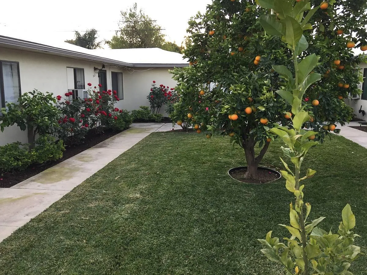 1 bed, 550 sqft, $2,050 — Photo 2