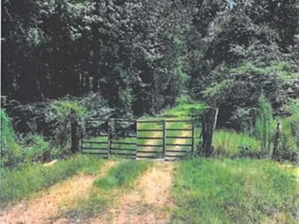 13450 442nd Hwy, Tickfaw, LA 70466