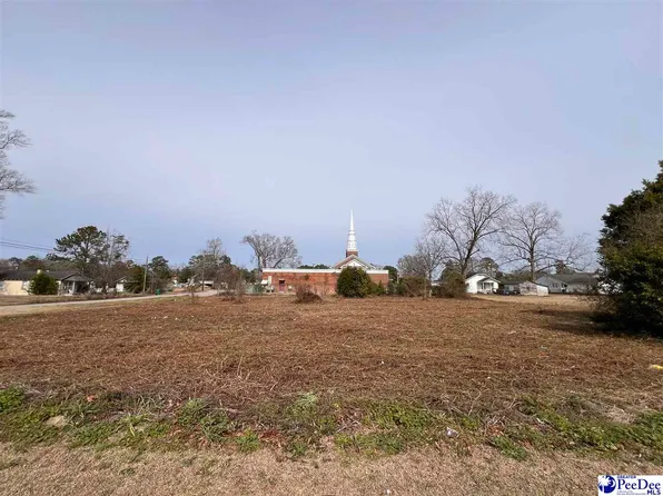 N Lafeyette St, Hemingway, SC 29554