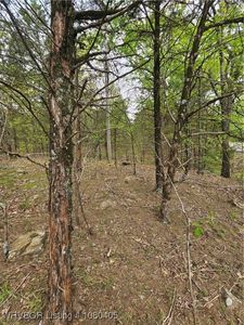Highway 23, Booneville, AR, 72927