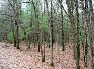 Lowry Rd, Monterey, VA 24465