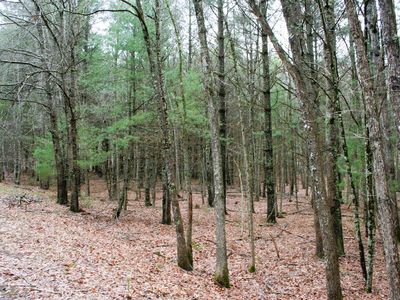 Lowry Rd, Monterey, VA, 24465