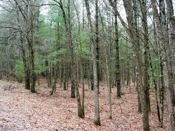 Lowry Rd, Monterey, VA 24465