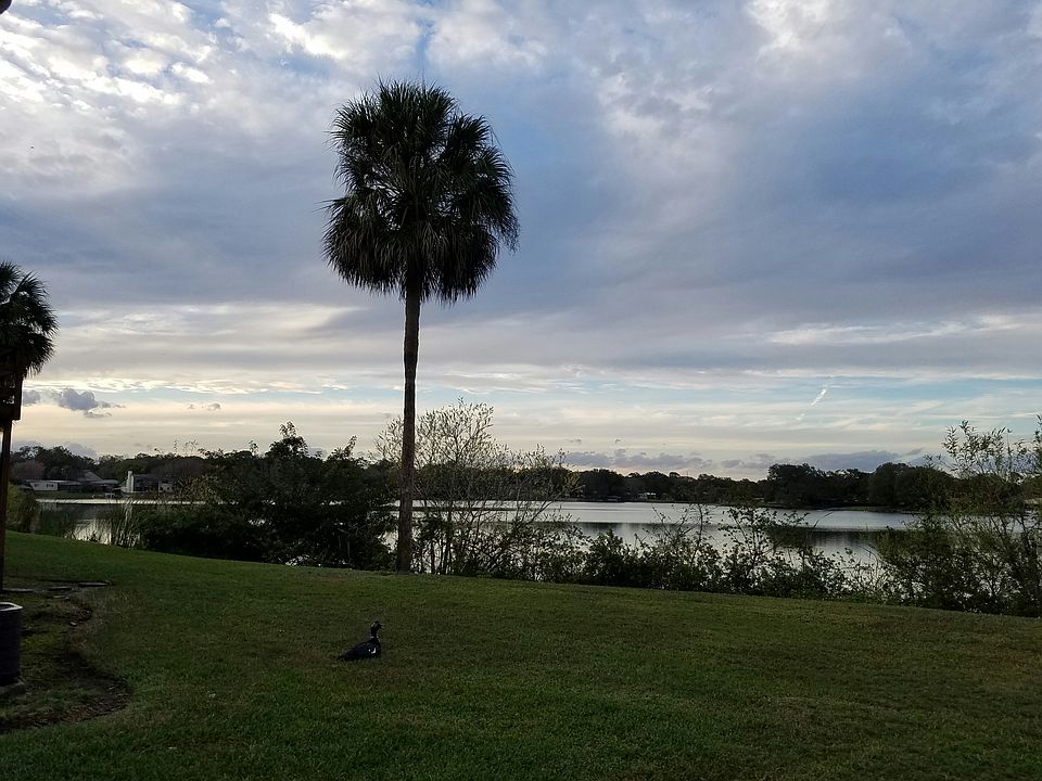 view from the unit