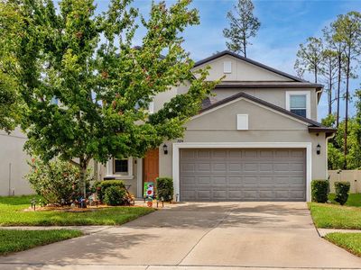 7034 Emerald Spring Loop, New Port Richey, FL, 34653