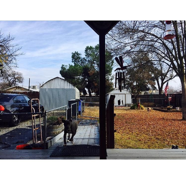 2nd image of 1223 Middleton St
