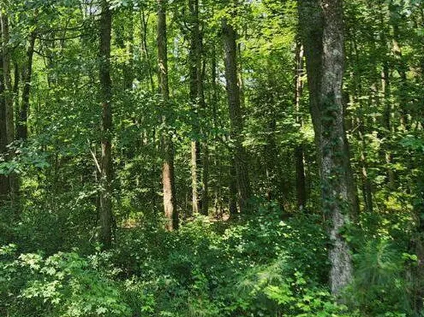 0 Route #605, Georgetown, DE 19947
