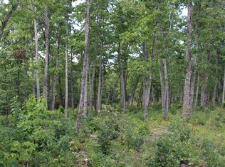 Black Oak Ridge Rd, Dayton, TN 37321