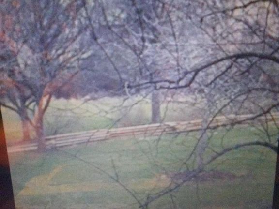 View of Virginia Country Side