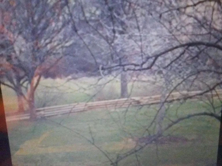View of Virginia Country Side