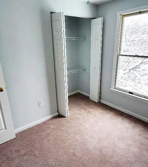 16 Craftsman Ct — Photo 15