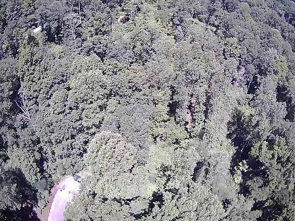 Aerial view.