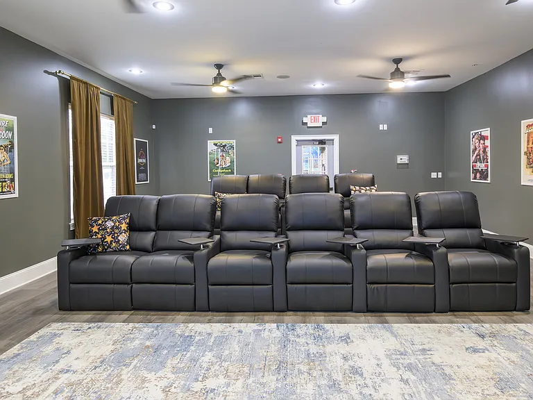 Cinema Room