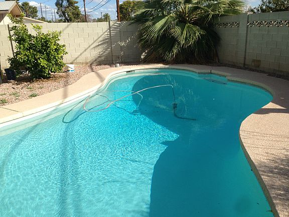 5th image of 1119 E Marigold Ln