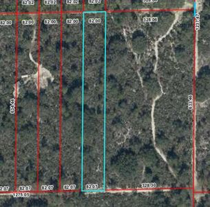Lot 00 NE 56TH ST, Bronson, FL, 32621