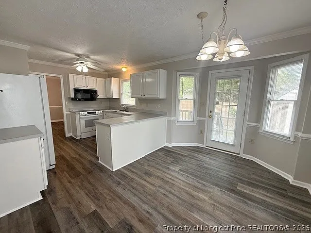 2012 Fig Ct — Photo 6