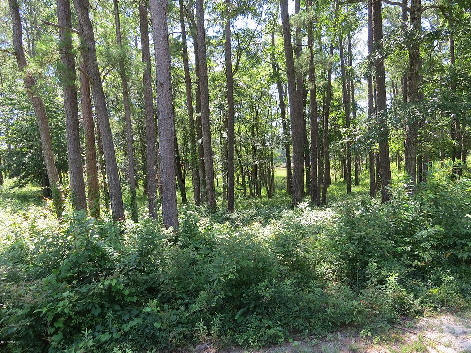 2nd image of 6495 Walden Pond Lane