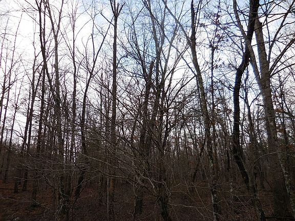 2nd image of 1143 Natchez Trce