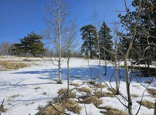 75 Rawhide Ct, Como, CO 80456